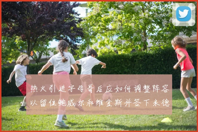 热火引进字母哥后应如何调整阵容以留住鲍威尔和维金斯并签下米德尔顿